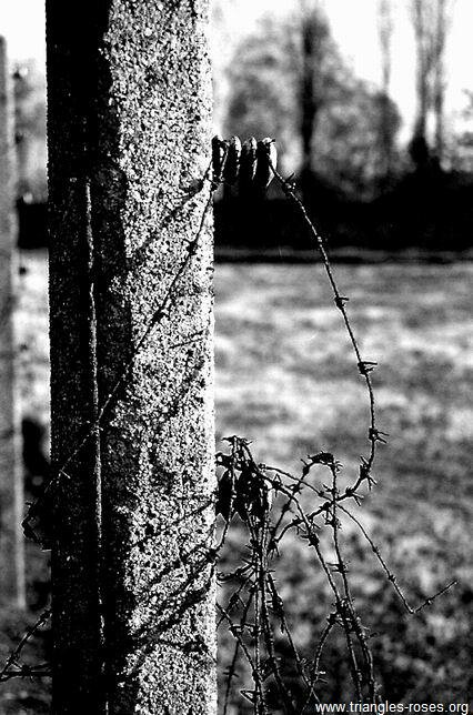 Clôture électrifiée du camp de Sachsenhausen.