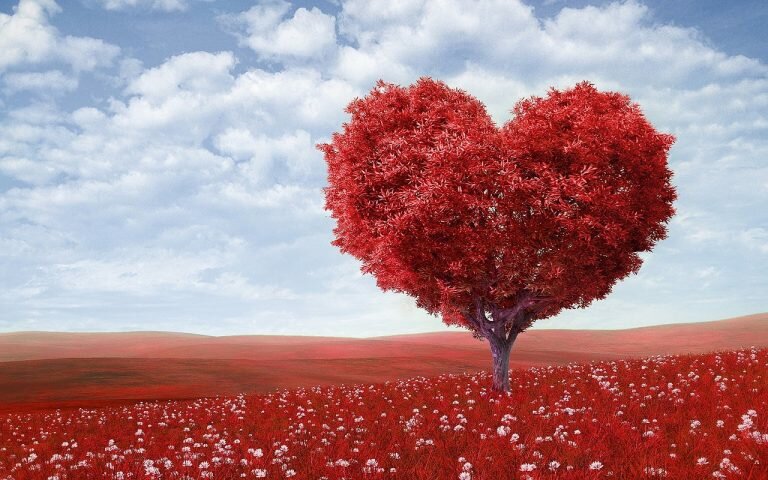 heart-shape